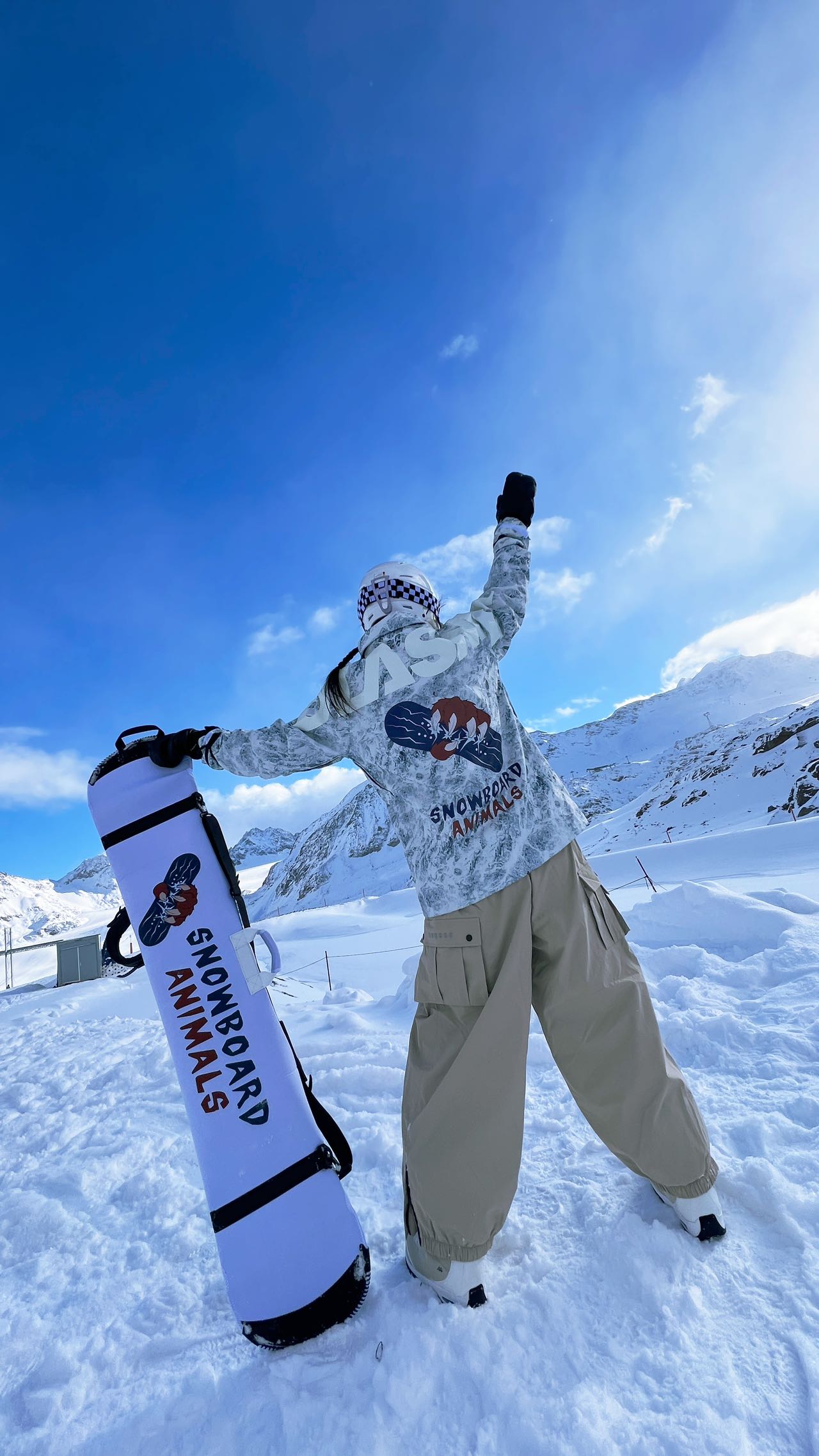 Animals Snowboard Protect Corver